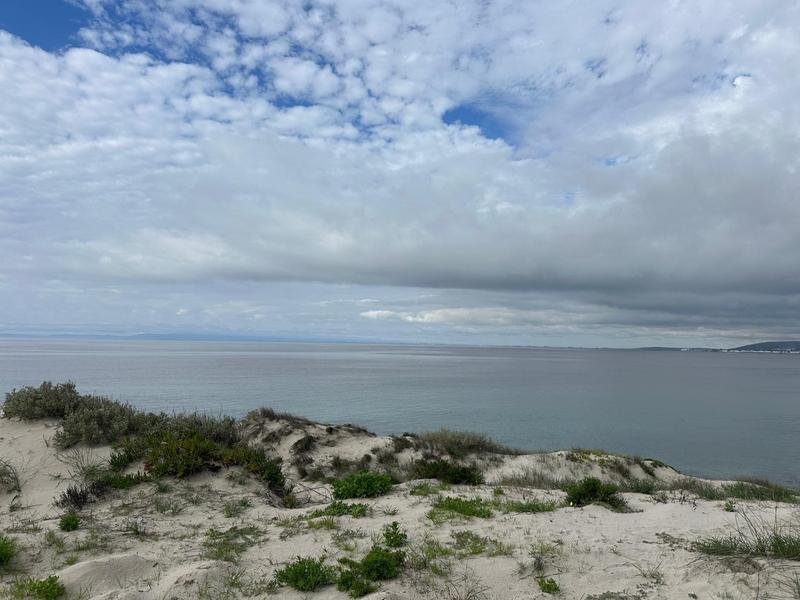 0 Bedroom Property for Sale in Shelley Point Western Cape